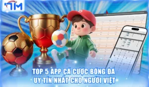 App cá cược bóng đá
