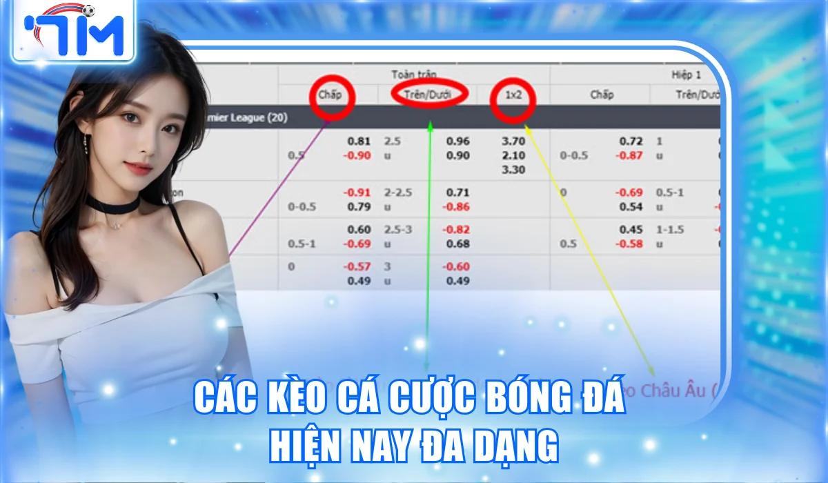 Kèo Cá Cược Bóng Đá Hiện Nay | Hướng Dẫn Chi Tiết Tại 7M 1 Các kèo cá cược bóng đá hiện nay đa dạng