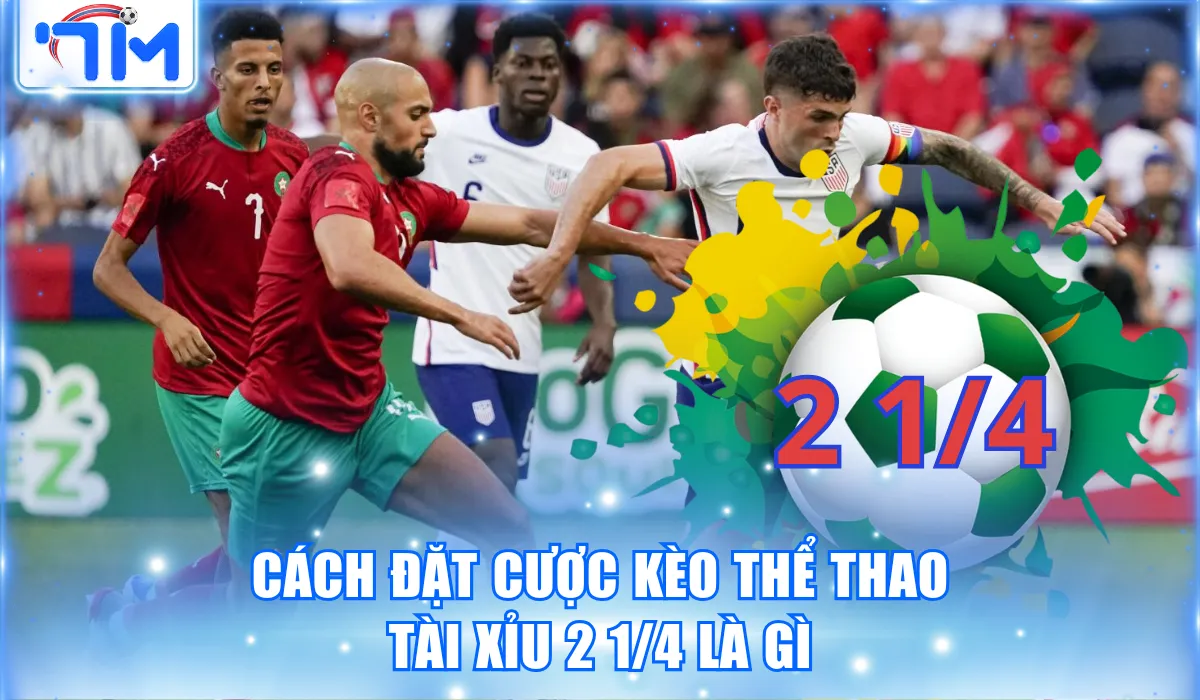 Kèo Tài Xỉu 2 1/4 Là Gì? Hướng Dẫn Phân Tích Kèo Chuẩn 3 cach cuoc keo tai xiu 2 14 la gi