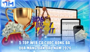 Top web cá cược bóng đá qua mạng