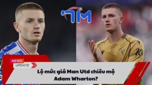 Lộ mức giá Man Utd chiêu mộ Adam Wharton?